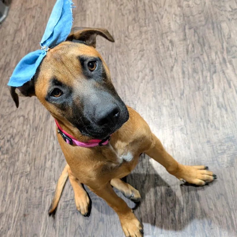 Sharae Jo thumbnail 2