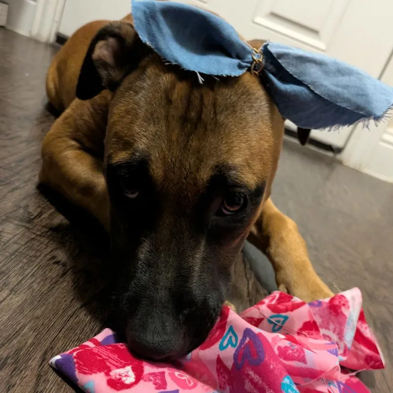 Sharae Jo thumbnail 3