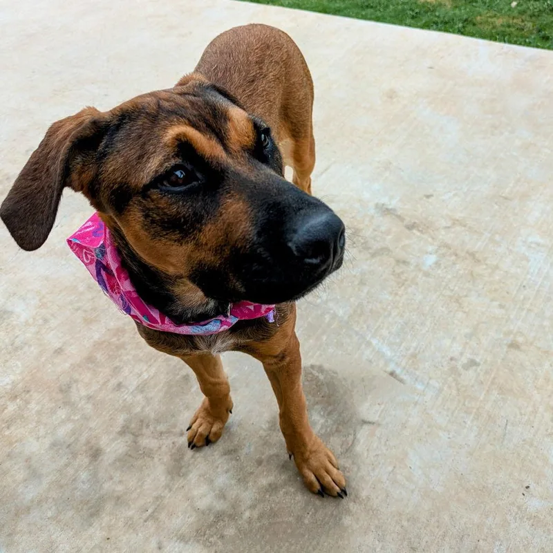 Shasta Gail thumbnail 2