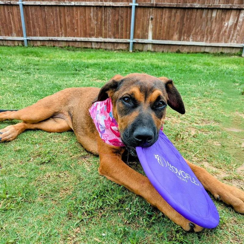 Shasta Gail thumbnail 3