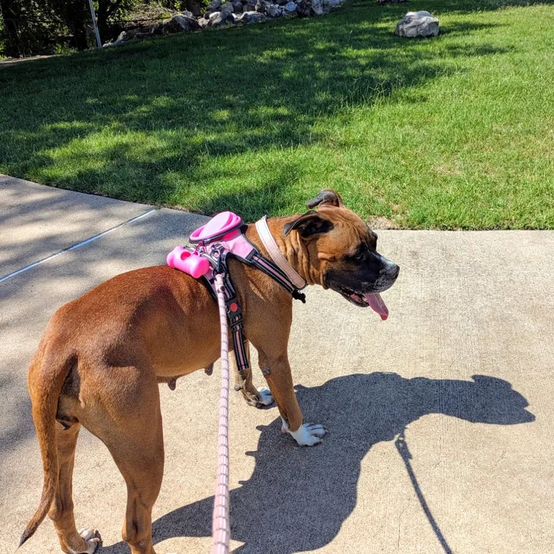 Shelby Grace thumbnail 2