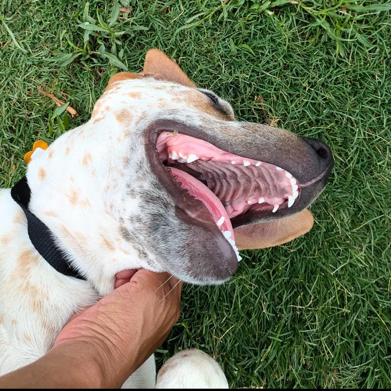 Sheldon Duke thumbnail 2