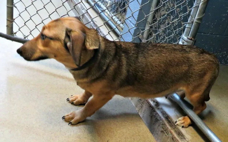 Freya & Becka thumbnail 2