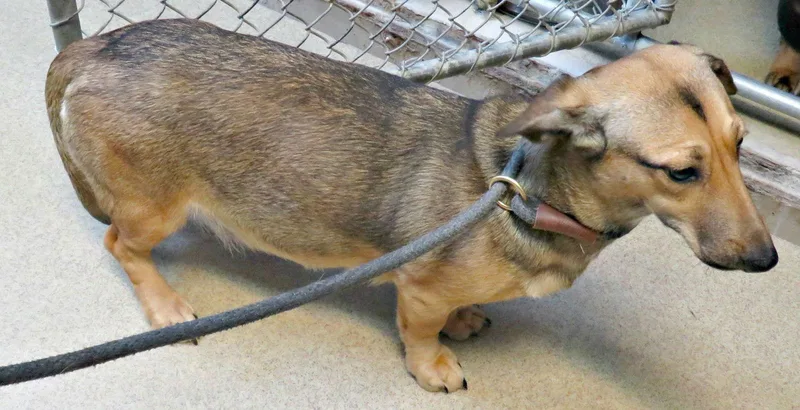 Freya & Becka thumbnail 3