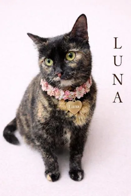 Luna