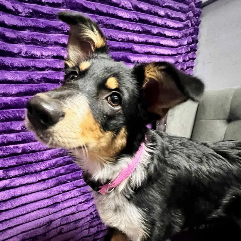 Gainey  Home Visit thumbnail 2