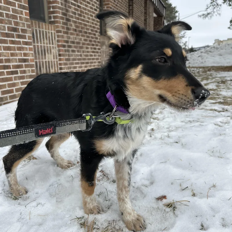 Gainey  Home Visit thumbnail 3