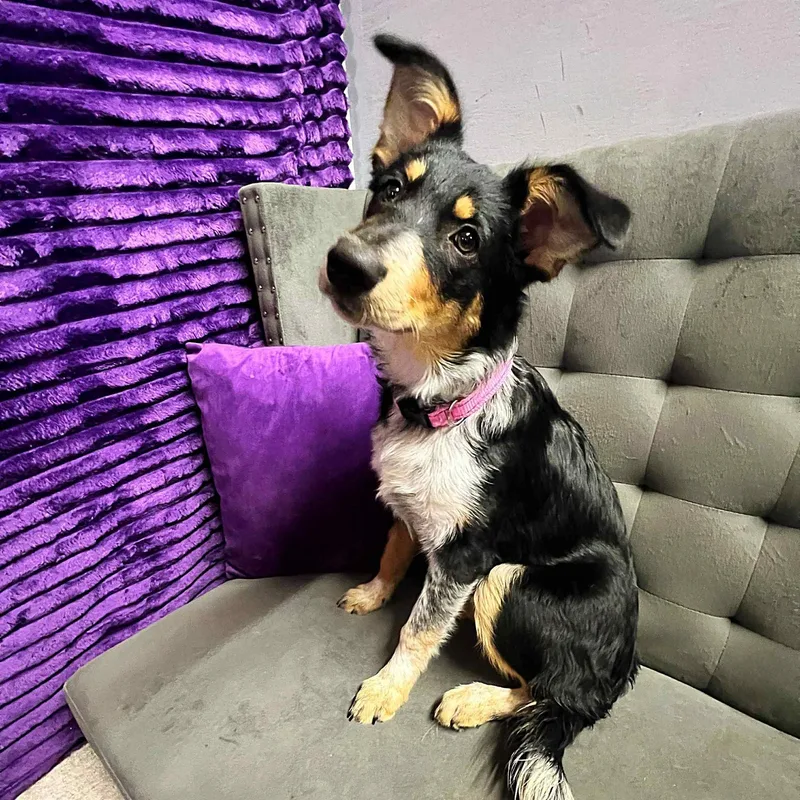 Gainey  Home Visit thumbnail 4