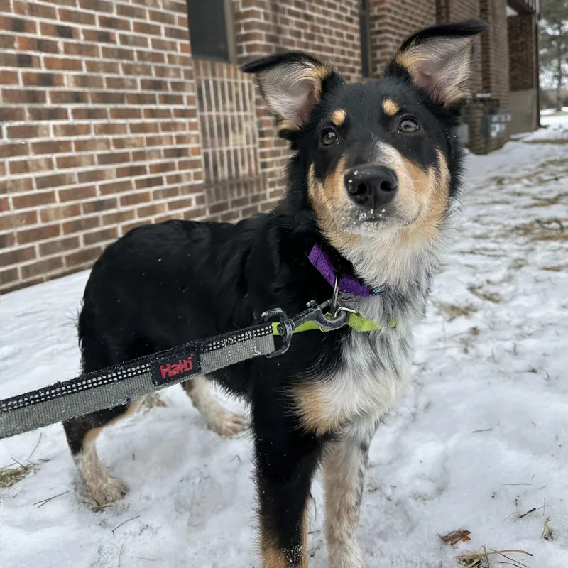 Gainey  Home Visit thumbnail 5