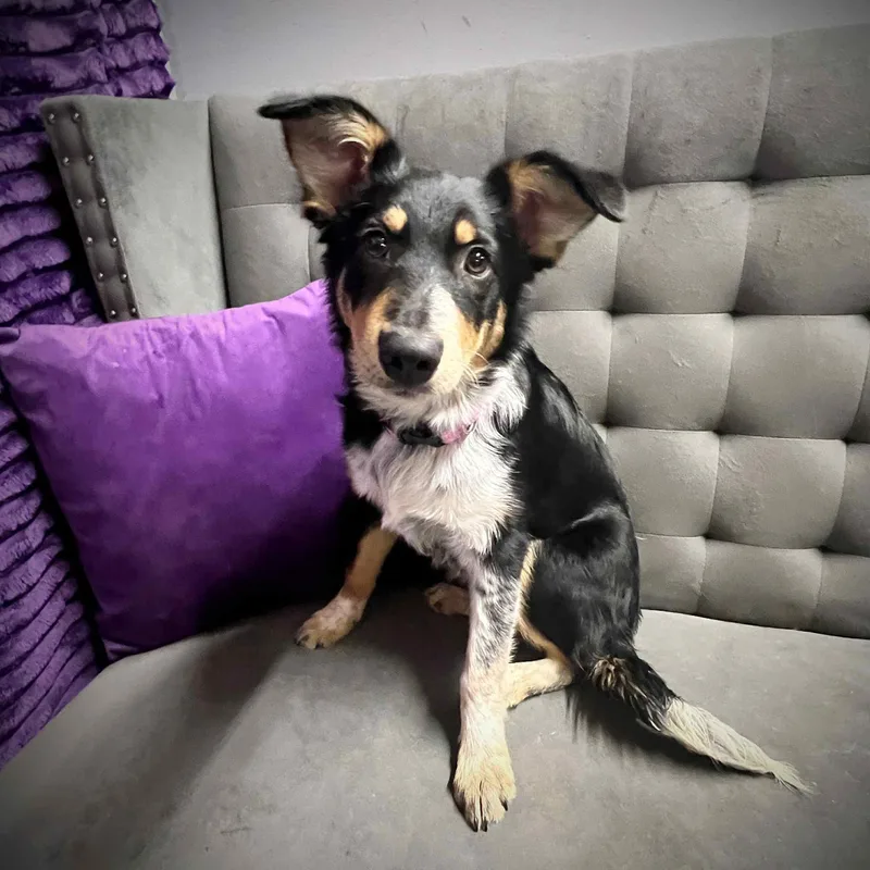 Gainey  Home Visit thumbnail 6