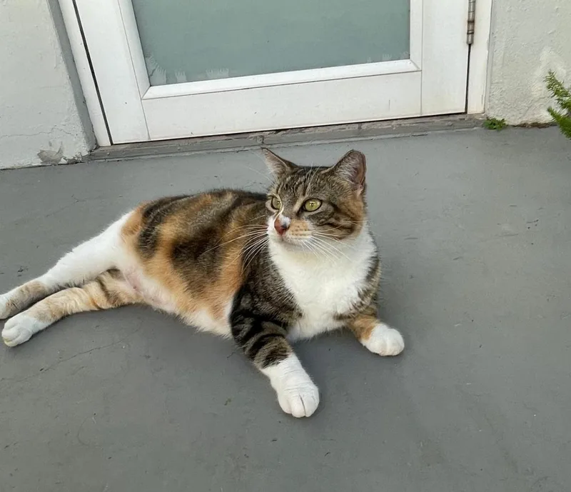 Maggie Aka Mama thumbnail 2