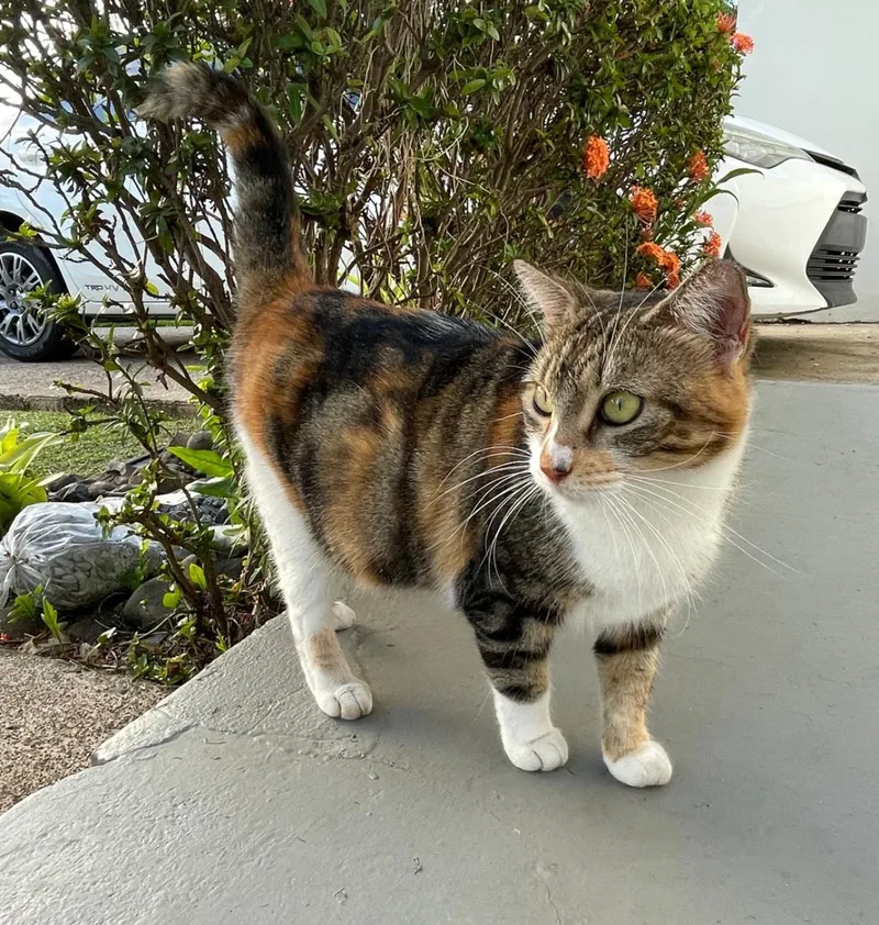 Maggie Aka Mama thumbnail 3