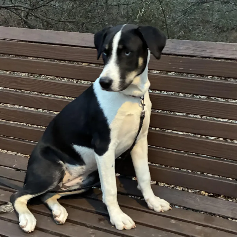 Elizabeth thumbnail 2