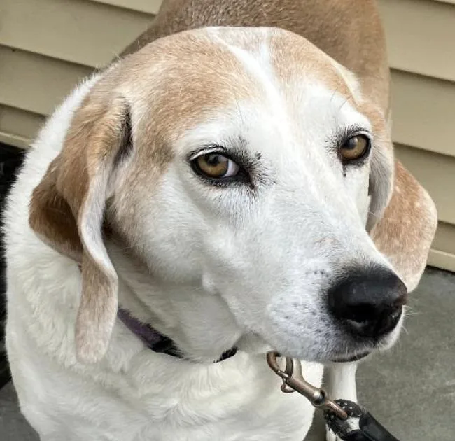 Hazel Mae  Local thumbnail 2