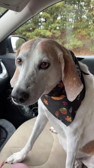 Hazel Mae  Local thumbnail 4