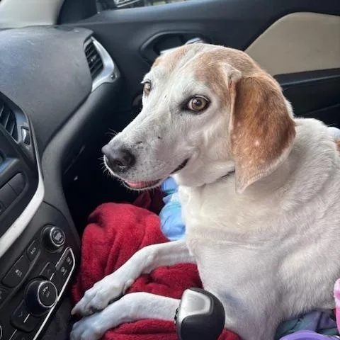 Hazel Mae  Local thumbnail 5