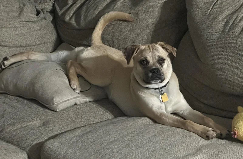 Mixie Moon ~ Local thumbnail 4