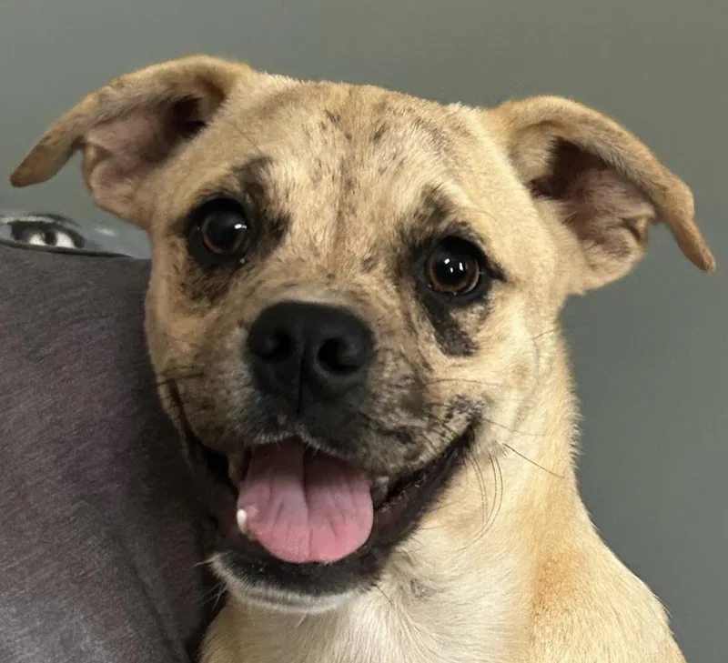 Mixie Moon ~ Local thumbnail 5