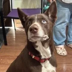 Don Juan thumbnail 2