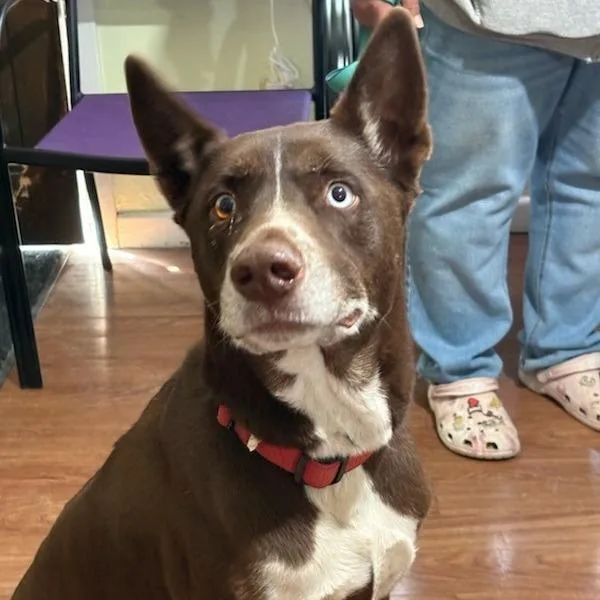 Don Juan thumbnail 3