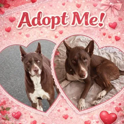 Don Juan thumbnail 4