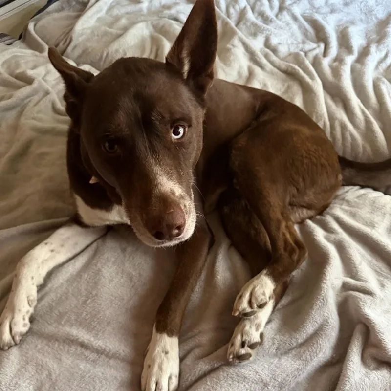 Don Juan thumbnail 5