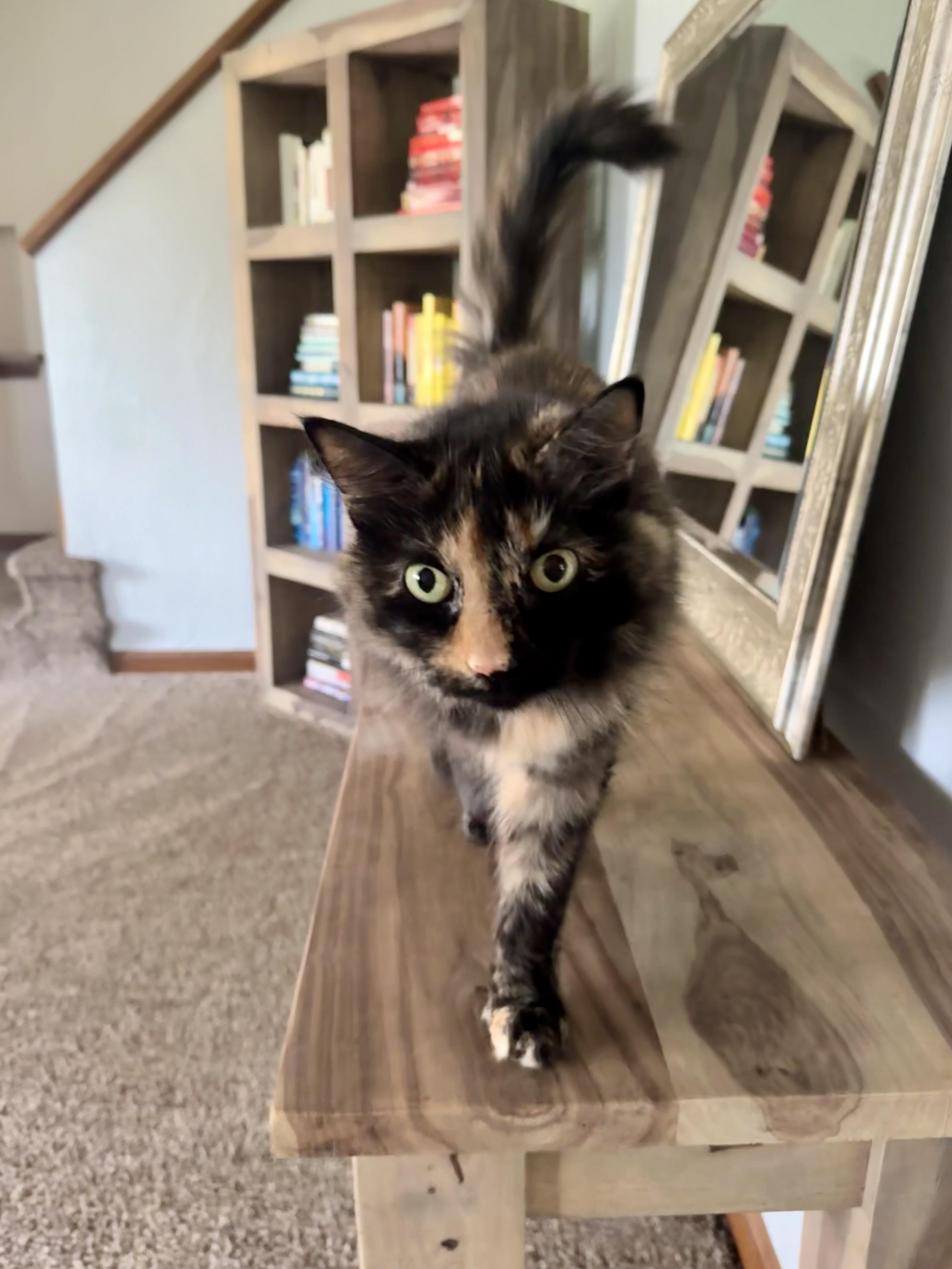 Princess thumbnail 4