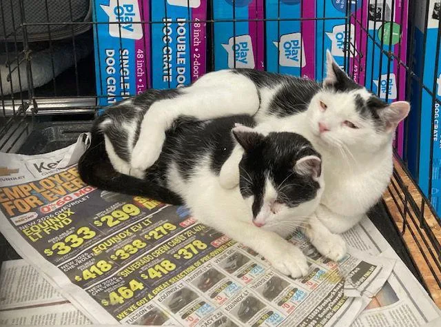 Darryl Bonded With Darrell thumbnail 2