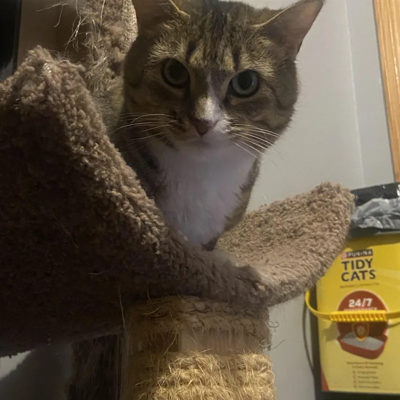 Mira & Sweet Pea thumbnail 2