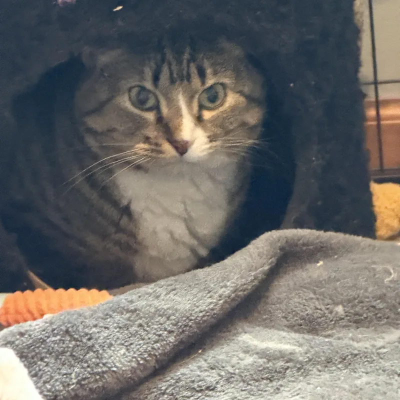 Mira & Sweet Pea thumbnail 3