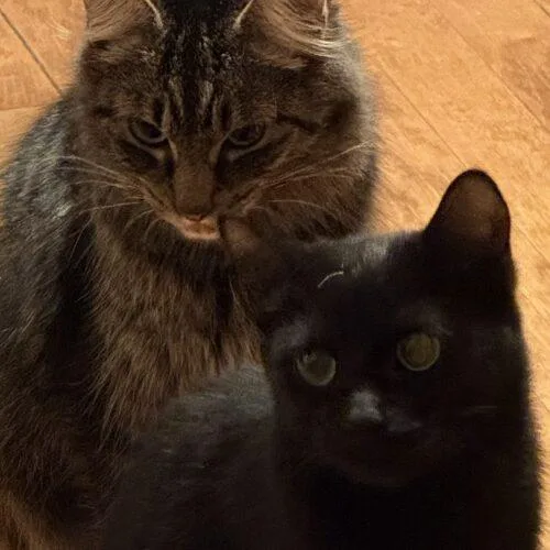 Mama Vegas thumbnail 2