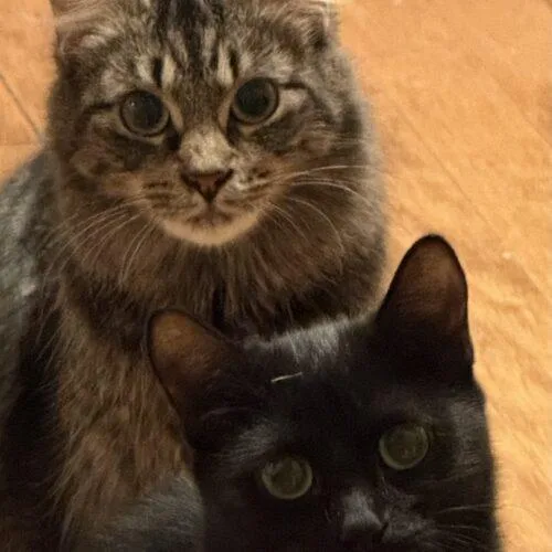 Mama Vegas thumbnail 3