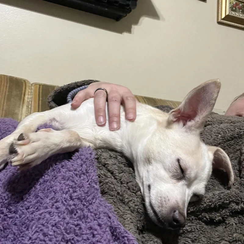 Janis Joplin thumbnail 2