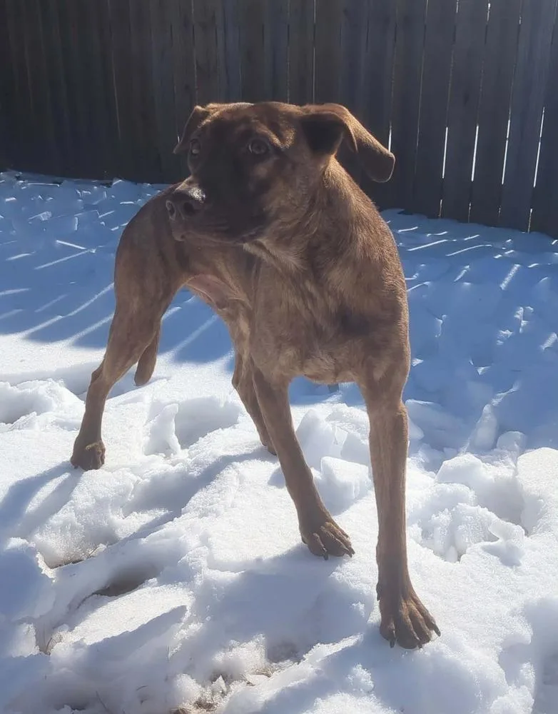 Cypress Woods thumbnail 2