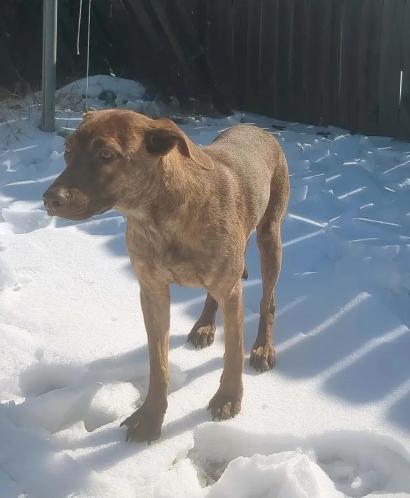 Cypress Woods thumbnail 3