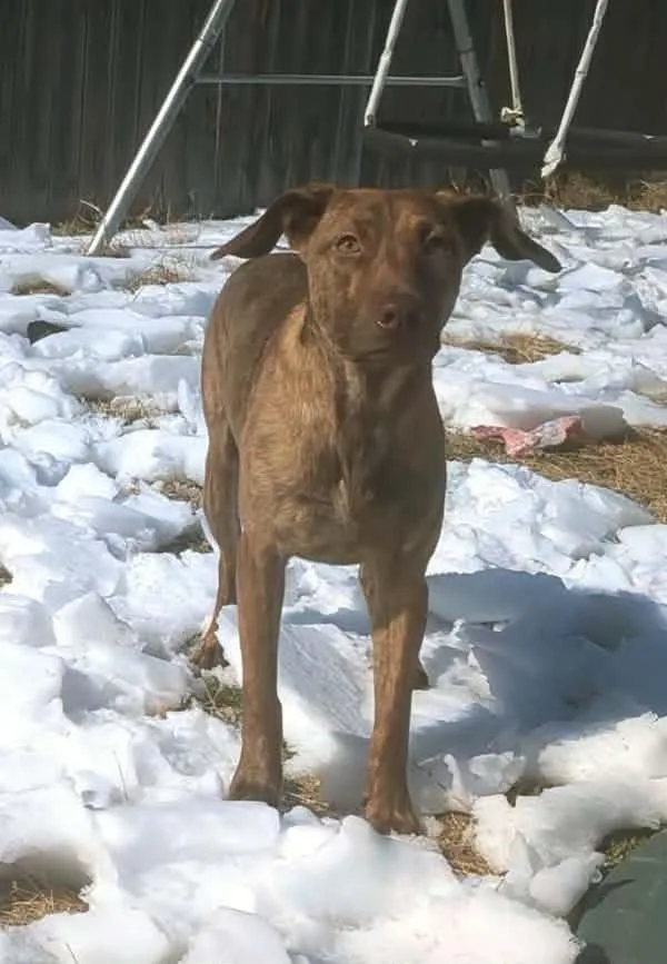 Cypress Woods thumbnail 4