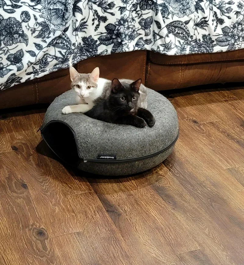 Simon & Baxter thumbnail 2