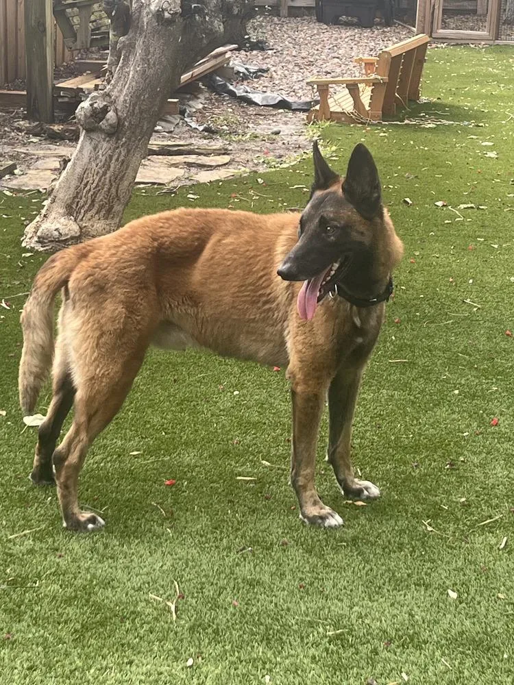 Peace  Located In thumbnail 2