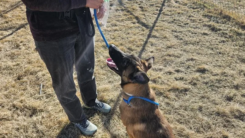 Wesley  Located In thumbnail 2