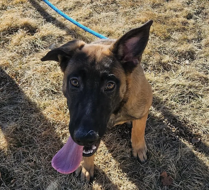 Wesley  Located In thumbnail 3