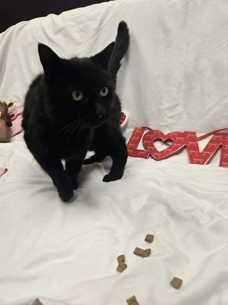 Pop Rocks thumbnail 5