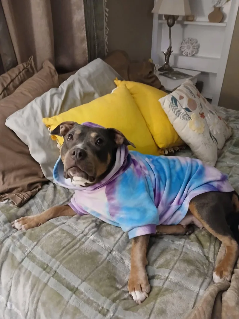 Ms. Queen thumbnail 2