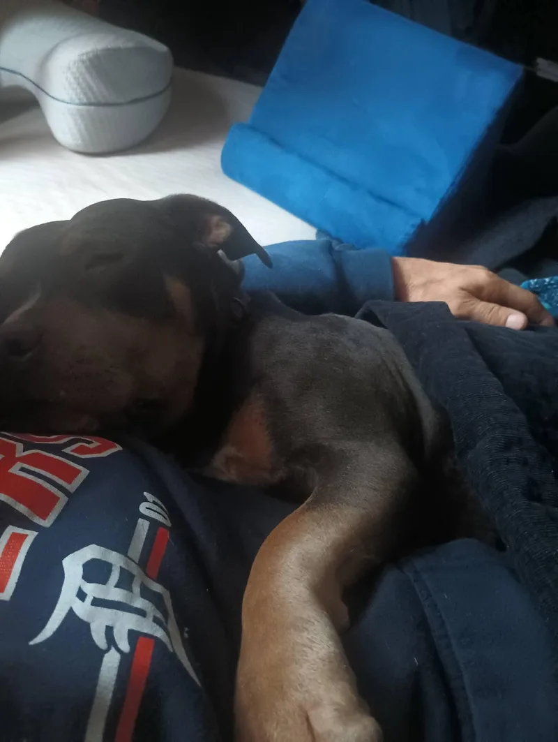 Ms. Queen thumbnail 3