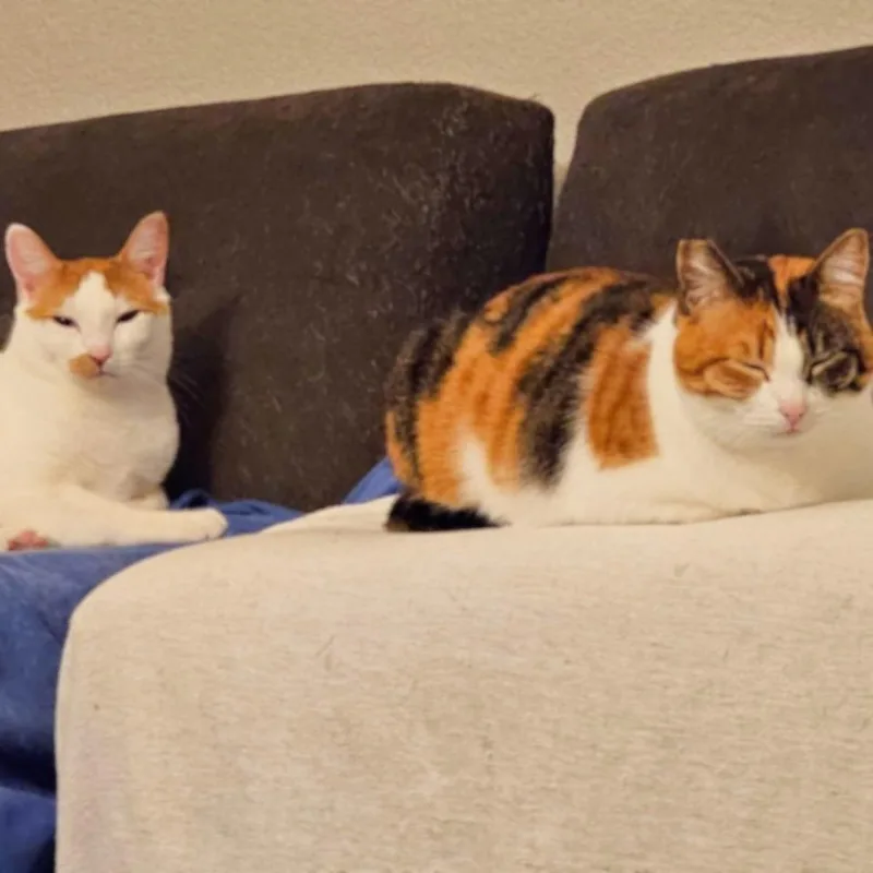 Mamacita thumbnail 5