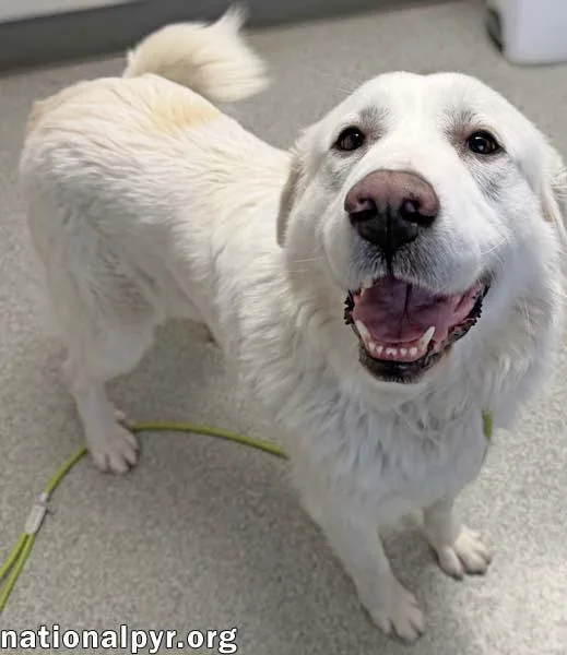 Molly In Oh  thumbnail 2