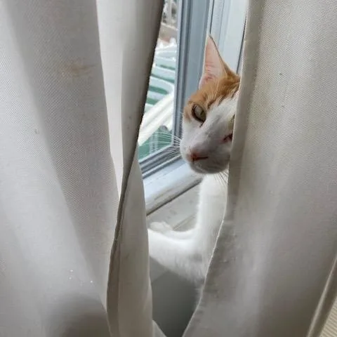 Skye & Myko thumbnail 2