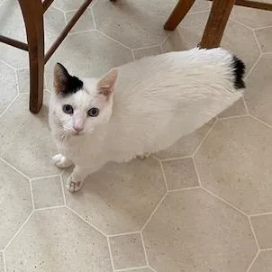 Skye & Myko thumbnail 3