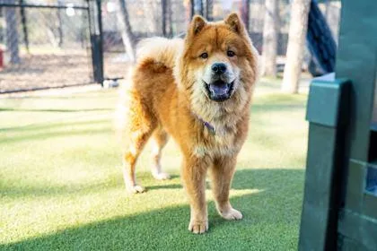 Freckles thumbnail 2