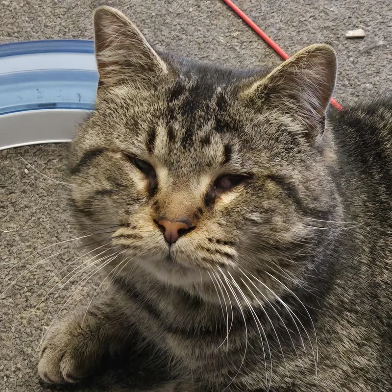 Chunkie  Jt thumbnail 2