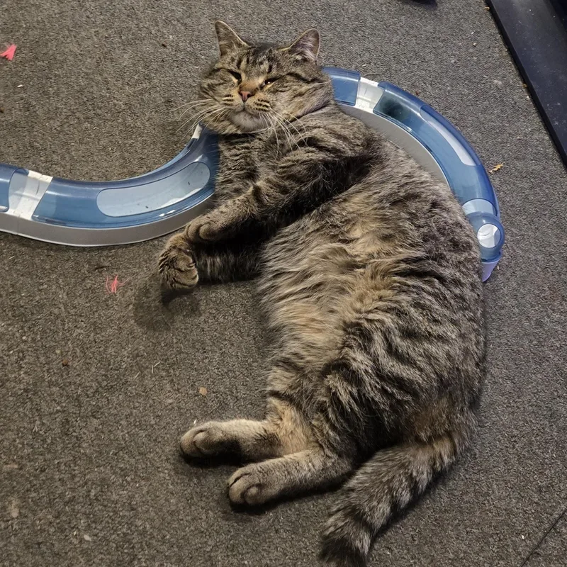 Chunkie  Jt thumbnail 3